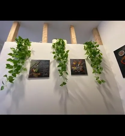 Schulz Zentrum Penzion 3*